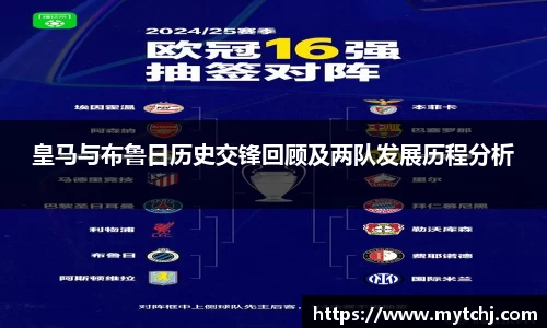 星空.综合体育官网