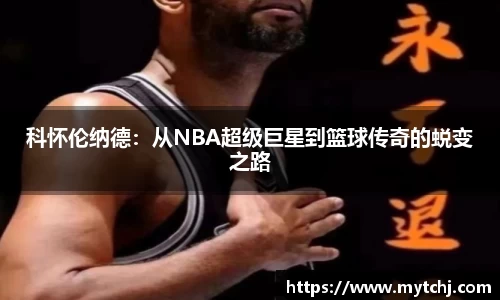 星空.综合体育官网