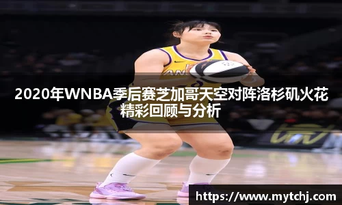 星空.综合体育(中国)官方网站