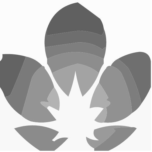 吴洁